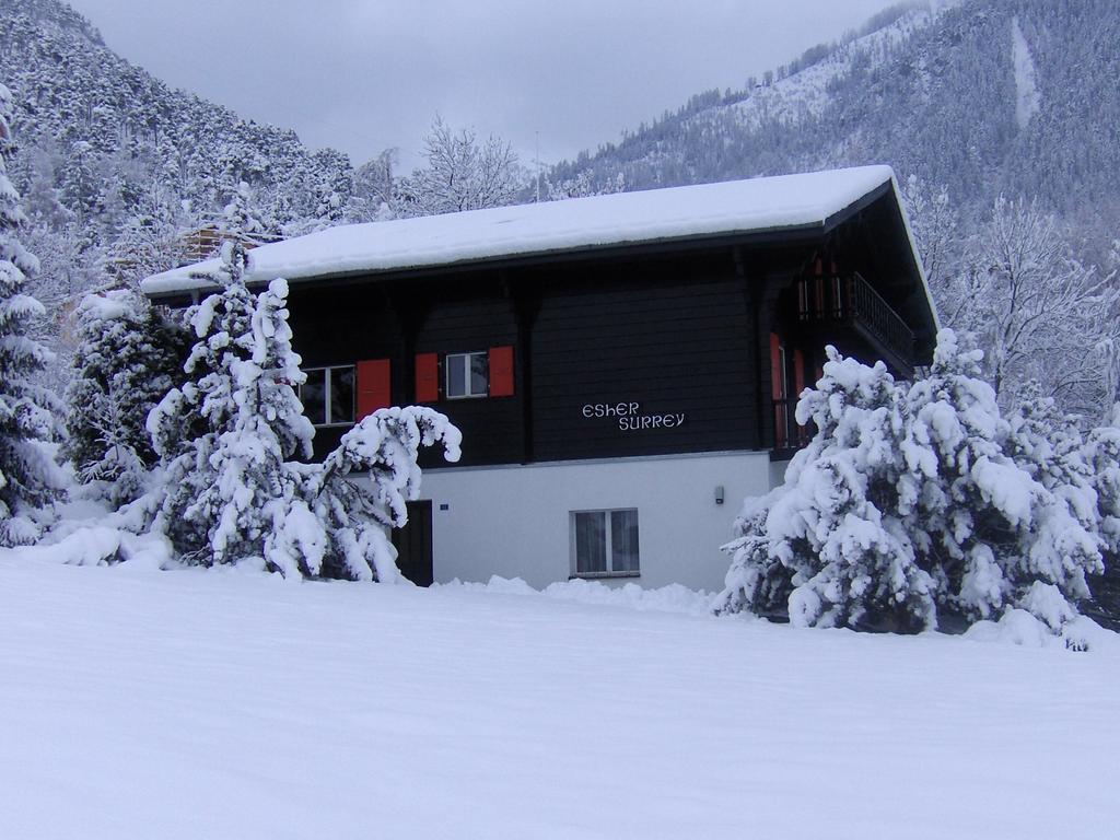 Chalet Esher Surrey Ried-Brig Camera foto